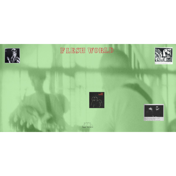 Виниловая пластинка Flesh World – Into The Shroud LP - рис.2