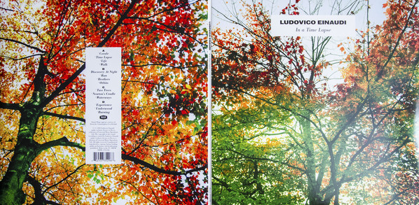 Виниловая пластинка Ludovico Einaudi - In A Time Lapse - рис.2