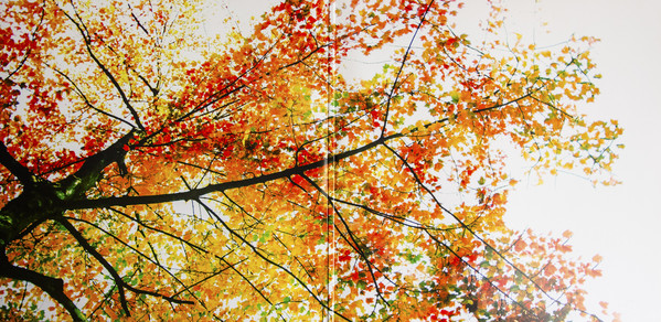 Виниловая пластинка Ludovico Einaudi - In A Time Lapse - рис.3