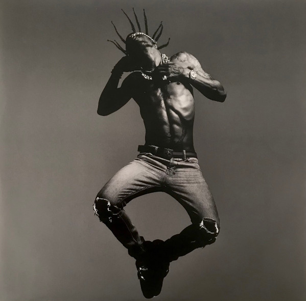 Пластинка Travis Scott - Birds In The Trap Sing Mcknight - 2LP - рис.7