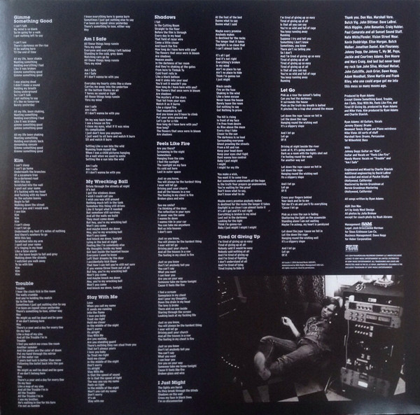 Виниловая пластинка Ryan Adams - Ryan Adams - рис.3