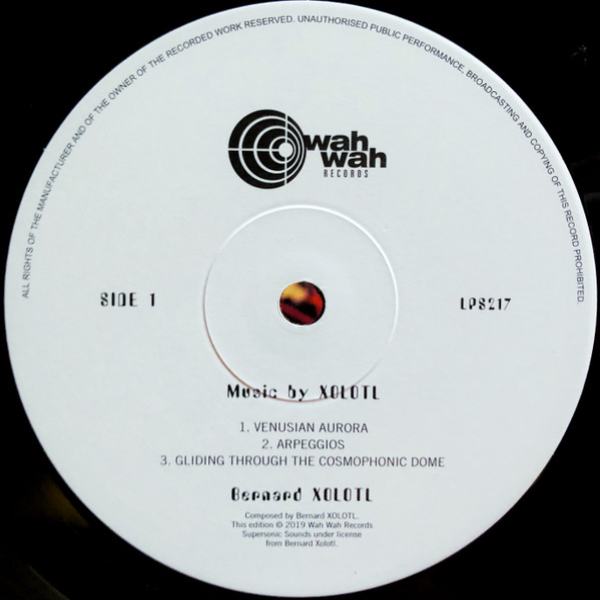 Виниловая пластинка Bernard Xolotl - Music By Xolotl LP - рис.3