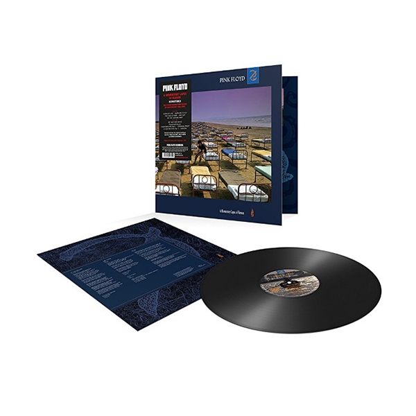 Виниловая пластинка Pink Floyd - A momentary lapse of reason Vinil - рис.1