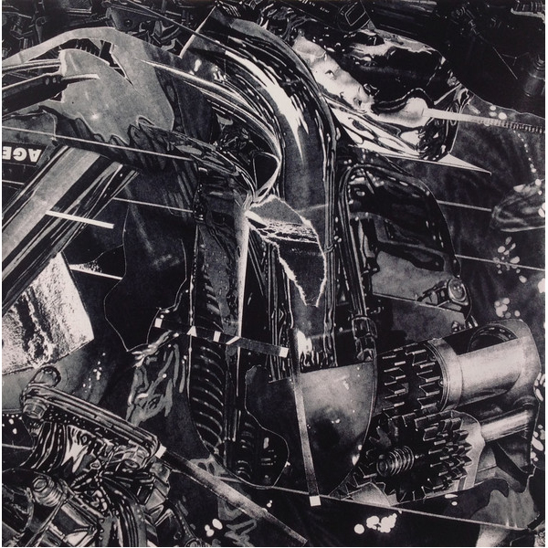 Виниловая пластинка Black Midi – Schlagenheim LP - рис.7