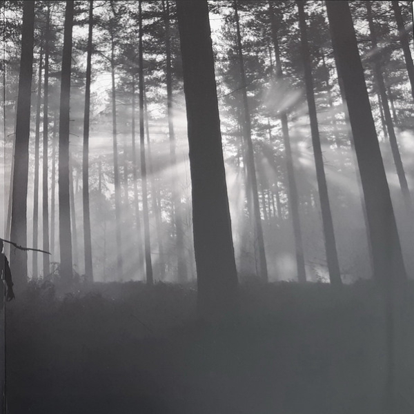 Виниловая пластинка Unkle - Ronin II (Deluxe White with Pink Splatter) - 2LP - рис.2