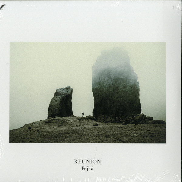 Виниловая пластинка Fejka – Reunion LP - рис.0