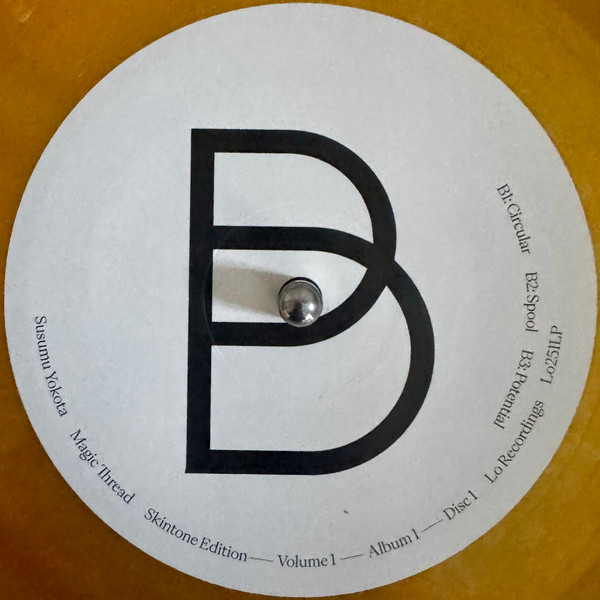 Бокс-сет Susumu Yokota – Volume 1 - Albums 1-7 (Skintone Edition, Box-set) LP - рис.7