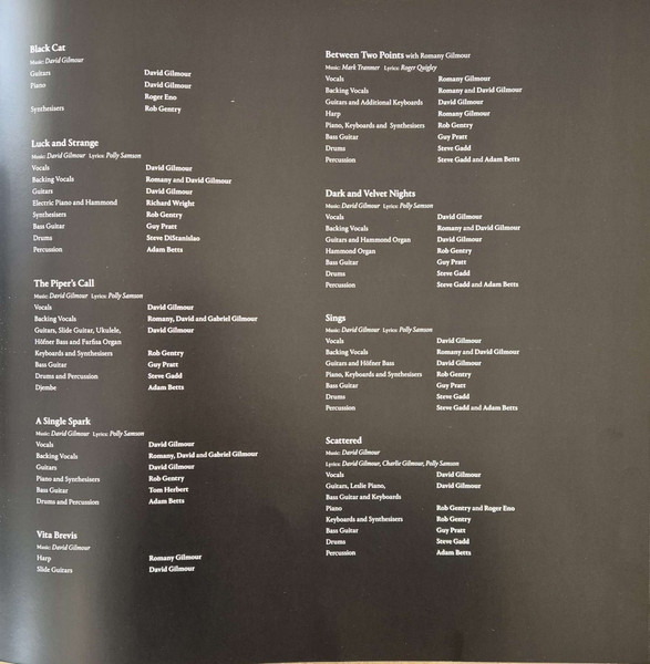 Виниловая пластинка David Gilmour – Luck And Strange LP - рис.3