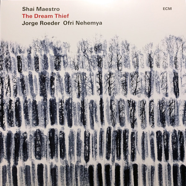 Виниловая пластинка Shai Maestro - The Dream Thief - рис.0