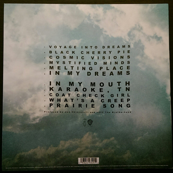 Виниловая пластинка Jeff The Brotherhood - Wasted On The Dream - рис.1