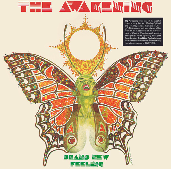 Виниловая пластинка The Awakening – Brand New Feeling LP - рис.0