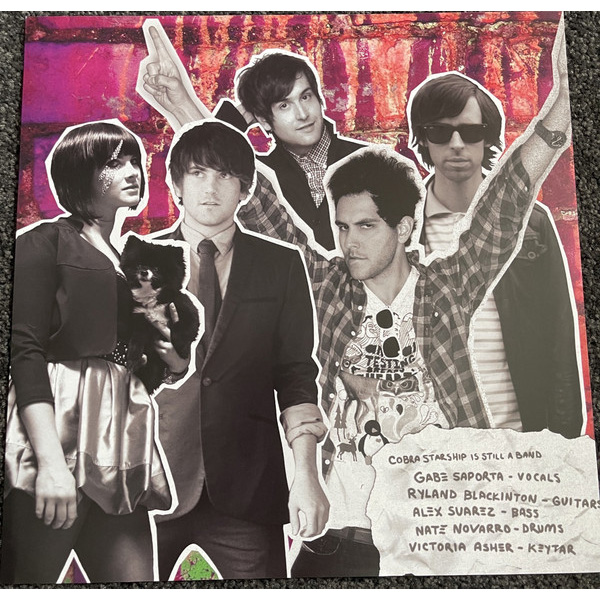 Виниловая пластинка Cobra Starship – Hot Mess LP - рис.5