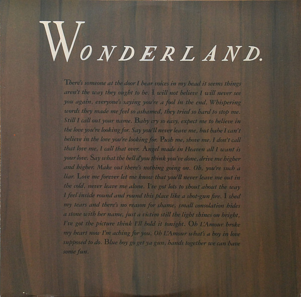Виниловая пластинка Erasure - Wonderland - рис.3