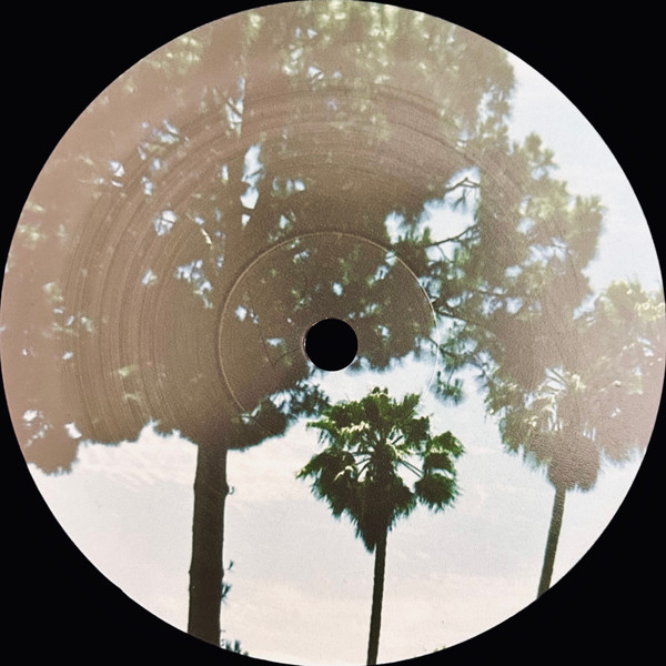 Виниловая пластинка Lana Del Rey - Honeymoon - 2LP - рис.7