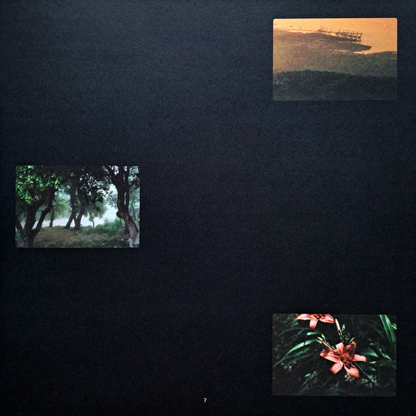 Виниловая пластинка Yasmine Hamdan - I Remember I Forget LP - рис.12