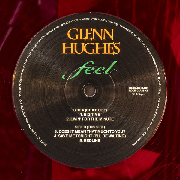 Виниловая пластинка Glenn Hughes - Feel - рис.3