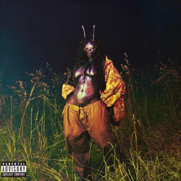 

Пластинка SZA, – SOS Deluxe: Lana (coloured) - 4LP