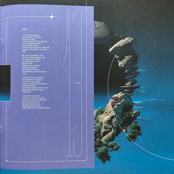 Виниловая пластинка Deep Purple - Splat! - 2LP - рис.17