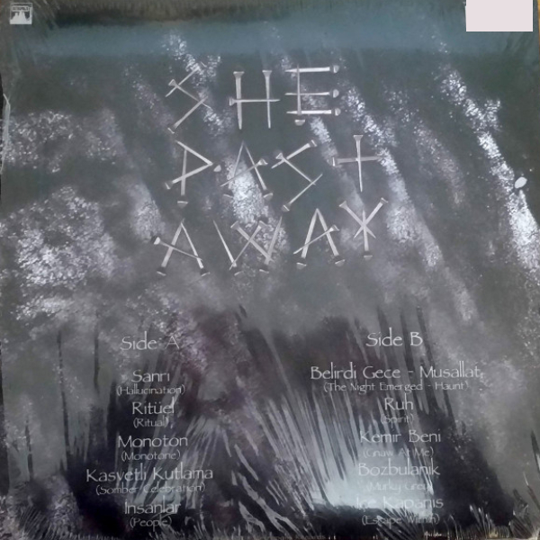 Виниловая пластинка She Past Away - Belirdi Gece LP - рис.1