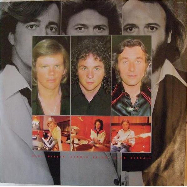 Виниловая пластинка Bee Gees - Spirits Having Flown LP - рис.4