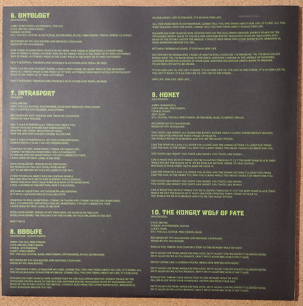 Виниловая пластинка King Gizzard And The Lizard Wizard – K.G. LP - рис.2