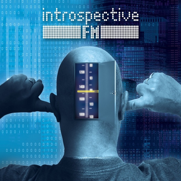 Виниловая пластинка Introspective F.M. - Introspective F.M. LP - рис.0