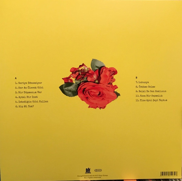Виниловая пластинка Jakuzi - Fantezi Muzik - LP - рис.1