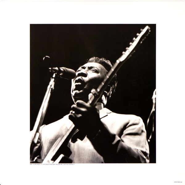 Виниловая пластинка Muddy Waters - Muddy, Brass & The Blues (Acoustic sounds) LP - рис.4
