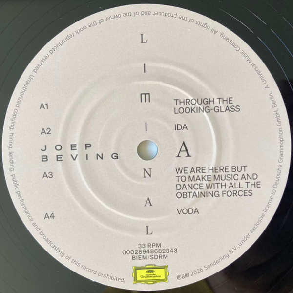 Виниловая пластинка Joep Beving - Liminal - 2LP - рис.4