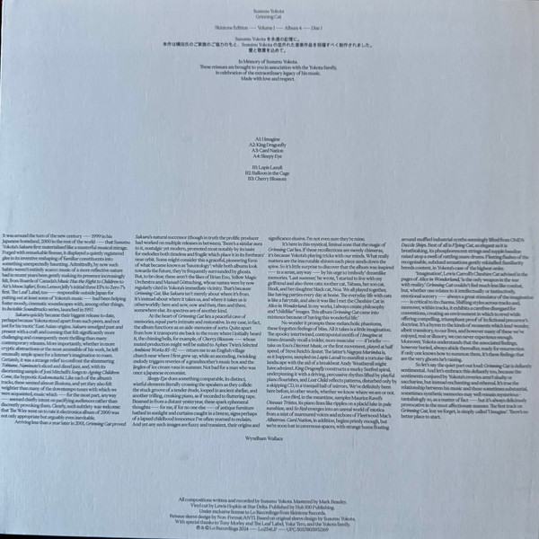 Бокс-сет Susumu Yokota – Volume 1 - Albums 1-7 (Skintone Edition, Box-set) LP - рис.28