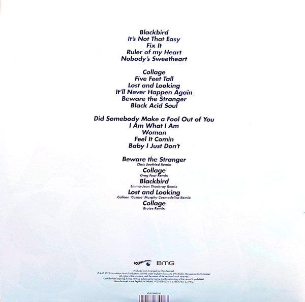 Виниловая пластинка Lady Blackbird – Black Acid Soul - Deluxe Edition - LP - рис.1