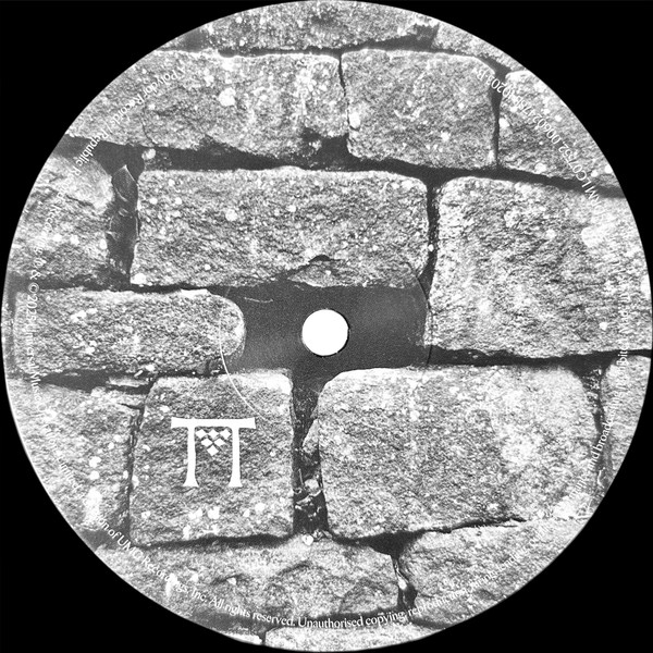 Виниловая пластинка Florence + The Machine – Everybody Scream - 2LP - рис.5