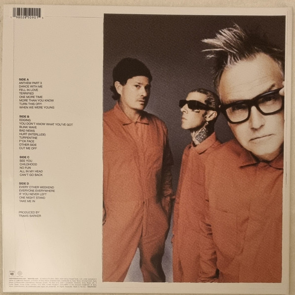 Виниловая пластинка Blink-182 – One More Time... Part-2 - Blue Balls 2LP - рис.1