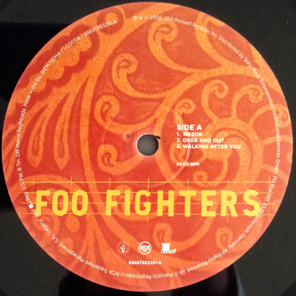 Виниловая пластинка Foo Fighters - Skin And Bones - рис.2