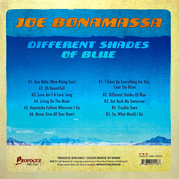 Виниловая пластинка JOE BONAMASSA DIFFERENT SHADES OF BLUE LP - рис.1