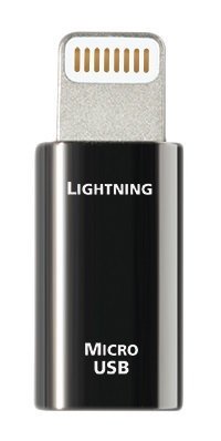 Переходник AudioQuest Lighting Adaptor - рис.1