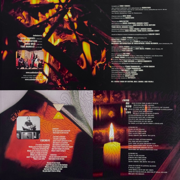 Виниловая пластинка Audioslave – Audioslave - 2LP - рис.6