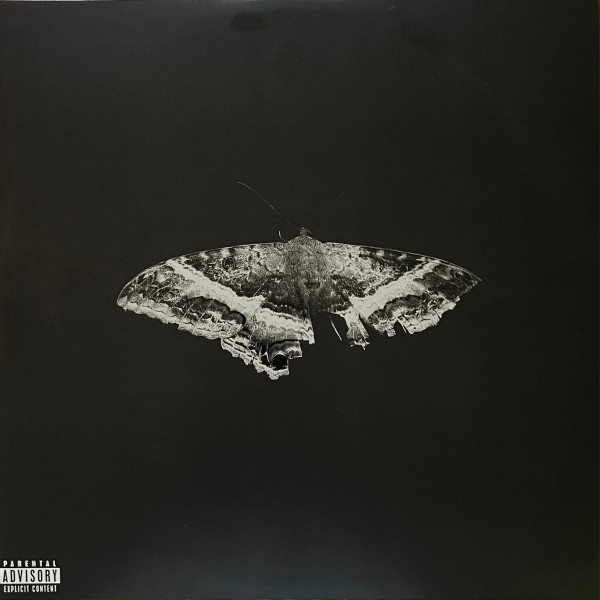 Виниловая пластинка Kendrick Lamar – To Pimp A Butterfly - Alternate Artwork - 2LP - рис.0