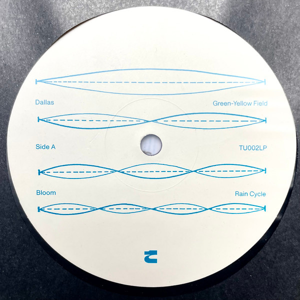 Виниловая пластинка Blue Lake – Sun Arcs LP - рис.4