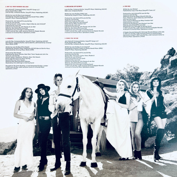 Виниловая пластинка Lana Del Rey - Chemtrails Over The Country Club LP - рис.3