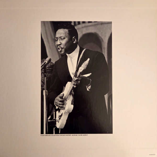 Виниловая пластинка Muddy Waters - Folk Singer LP - рис.2