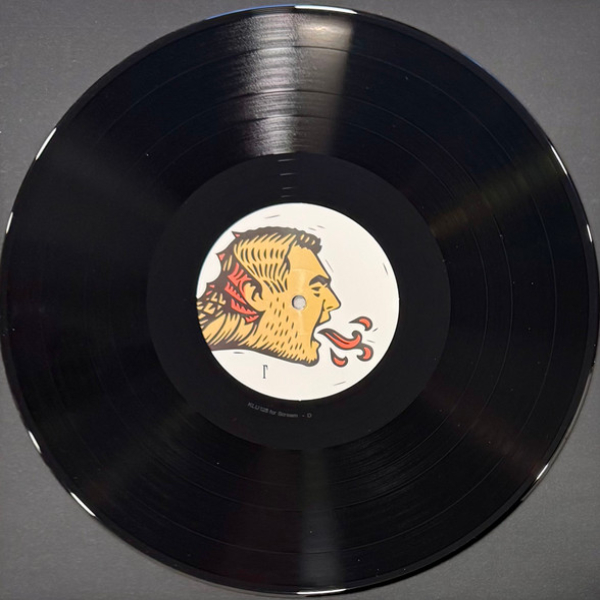 Виниловая пластинка Каста - Четырёхглавый орёт - 2LP - рис.7