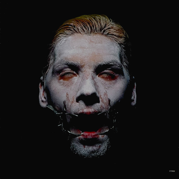 Виниловая пластинка Rammstein Sehnsucht - 2LP - рис.14