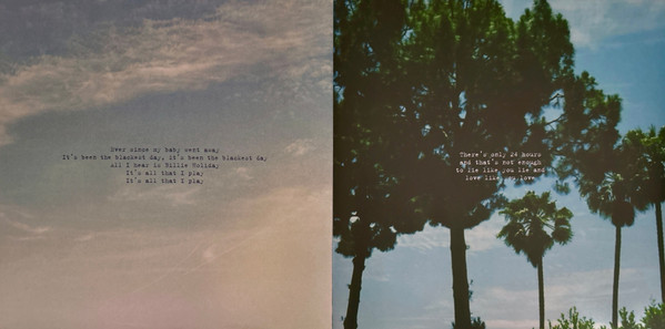 Виниловая пластинка Lana Del Rey - Honeymoon - 2LP - рис.18