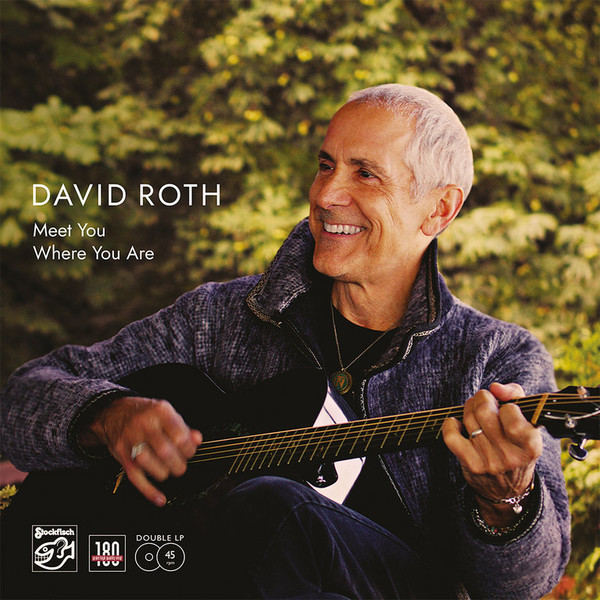 Виниловая пластинка David Roth - Meet You Where You Are 2LP - рис.0