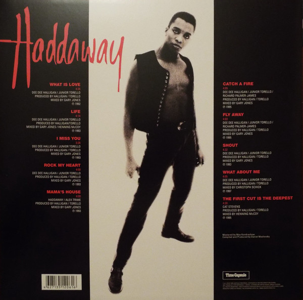 Виниловая пластинка Haddaway - What Is Love? The Singles of the 90s - рис.1