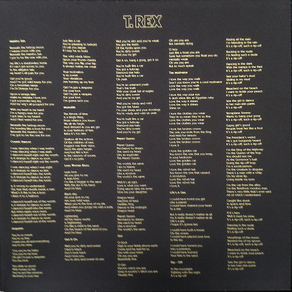 Виниловая пластинка T. Rex - Electric Warrior - рис.2