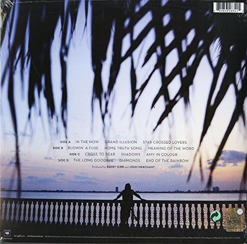 Виниловая пластинка Barry Gibb - In The Now - рис.1
