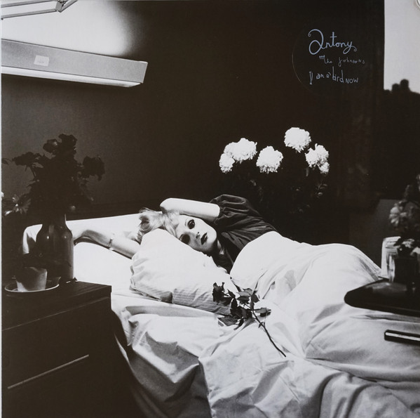 Виниловая пластинка Antony And The Johnsons - I Am A Bird Now - LP - рис.0