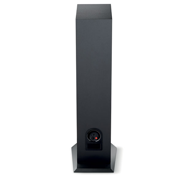 Напольная акустика Focal Chora 816 Black - рис.2